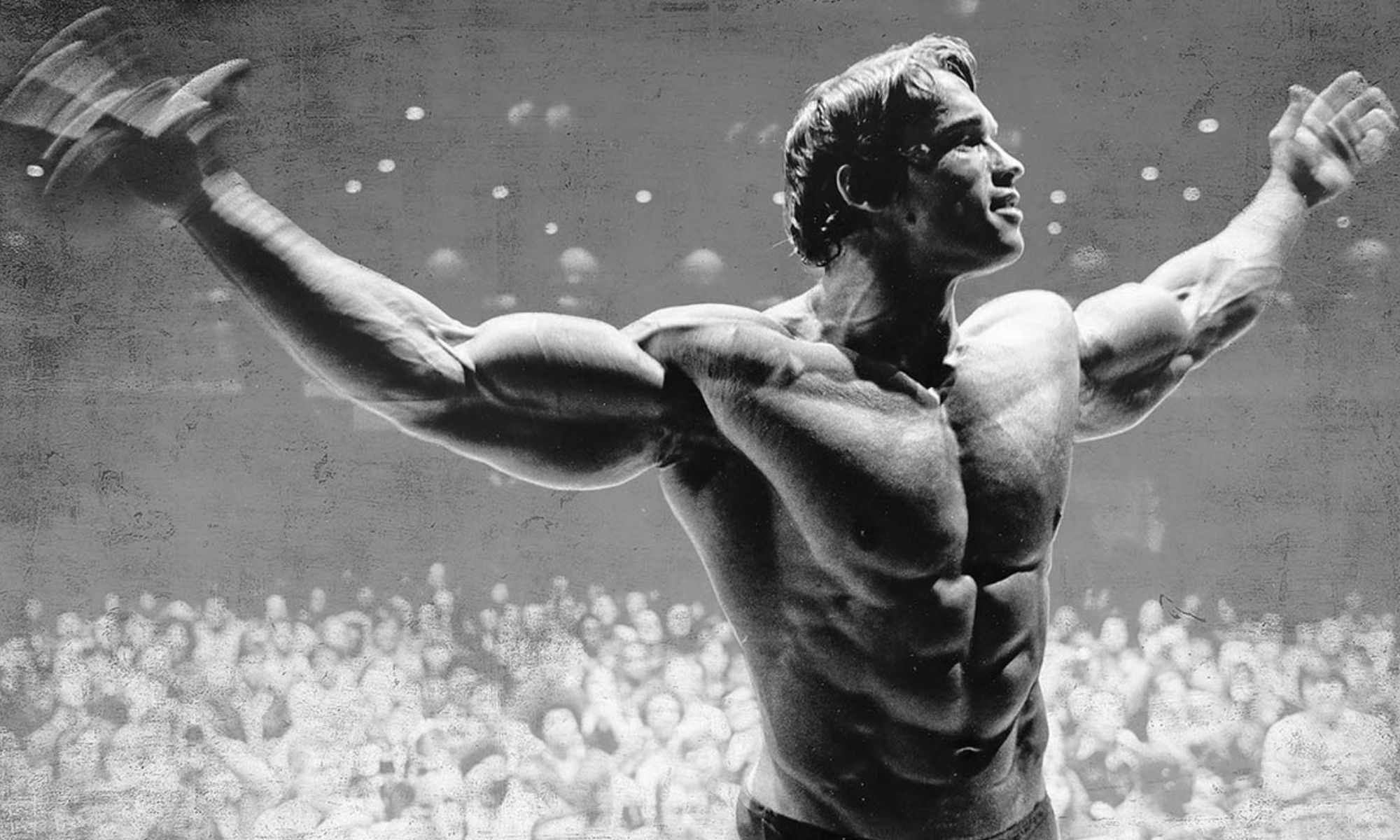Arnold Schwarzenegger